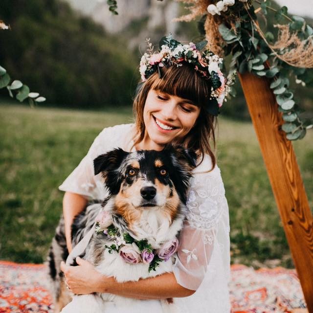 Paws for Thought:  Dogs at Weddings