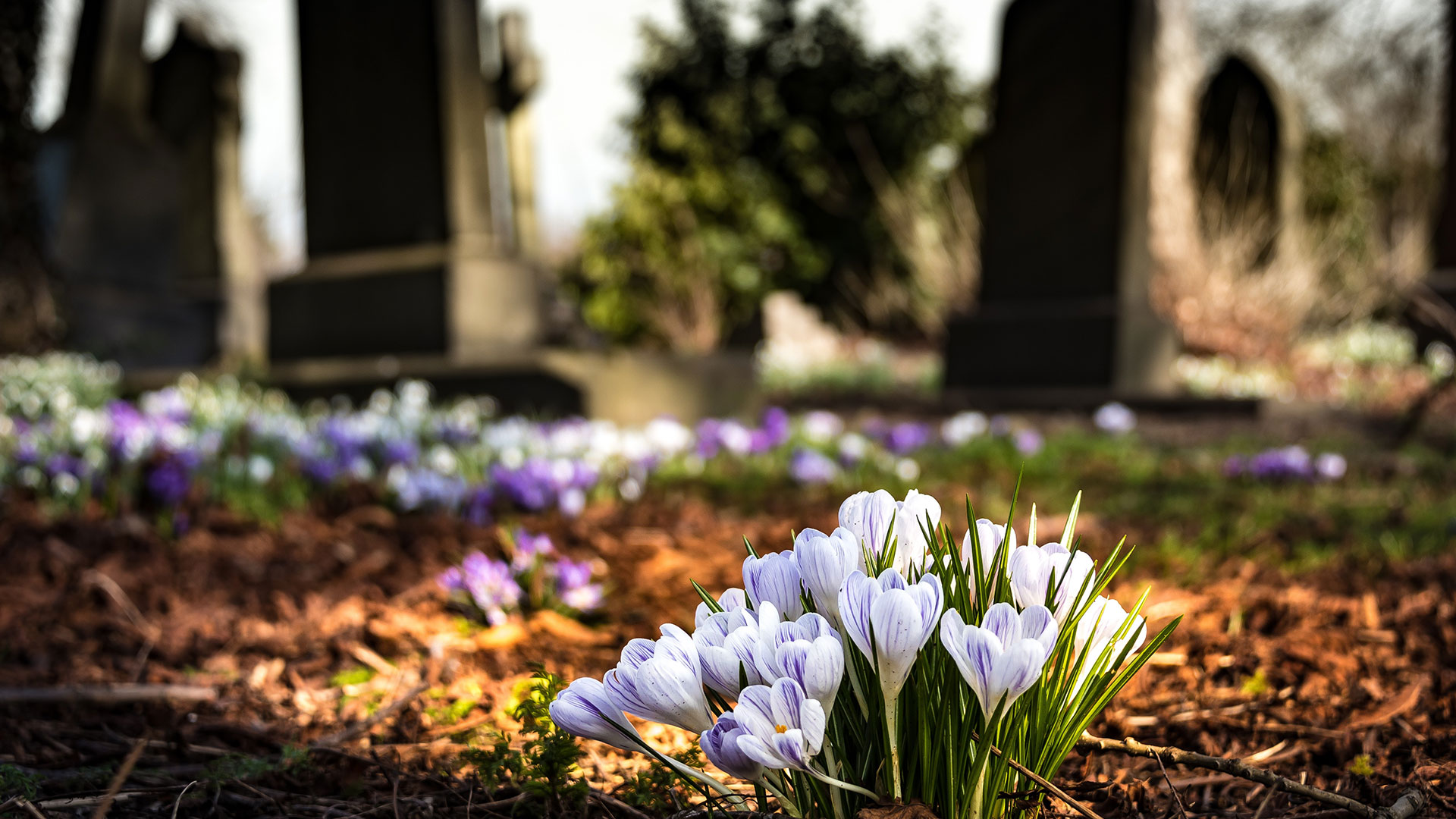 A Funeral during Coronavirus Fuze Ceremonies