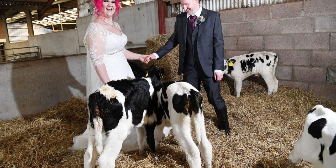 Real Life Wedding Love Stories – Fiona & Christopher’s Three Kings & A ‘coo’ Wedding