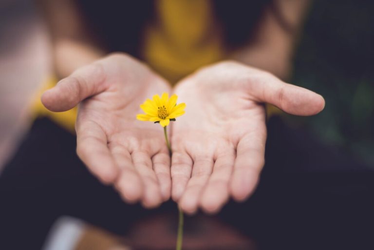 lina-trochez-ktPKyUs3Qjs-unsplash-1024x684-1 https://fuzeceremonies.co.uk/wp-content/uploads/2024/10/lina-trochez-ktPKyUs3Qjs-unsplash-1024x684-1-768x513.jpg
