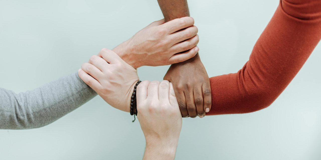 Equality and Diversity, the bedrock of just and sustainable society