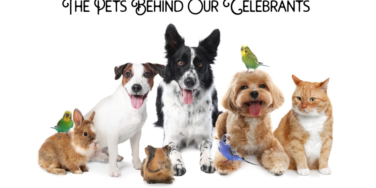 The Pets Behind Our Celebrants