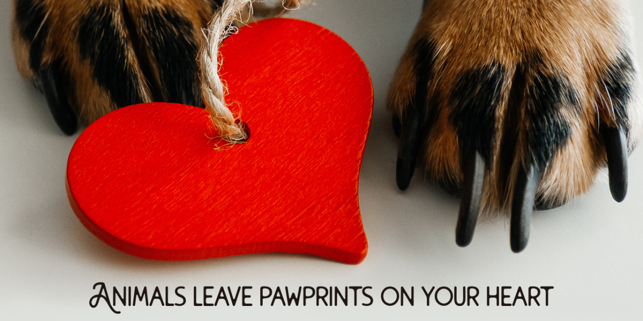 Animals leave pawprints on your heart – and if you are lucky, on the places that shaped your life too.