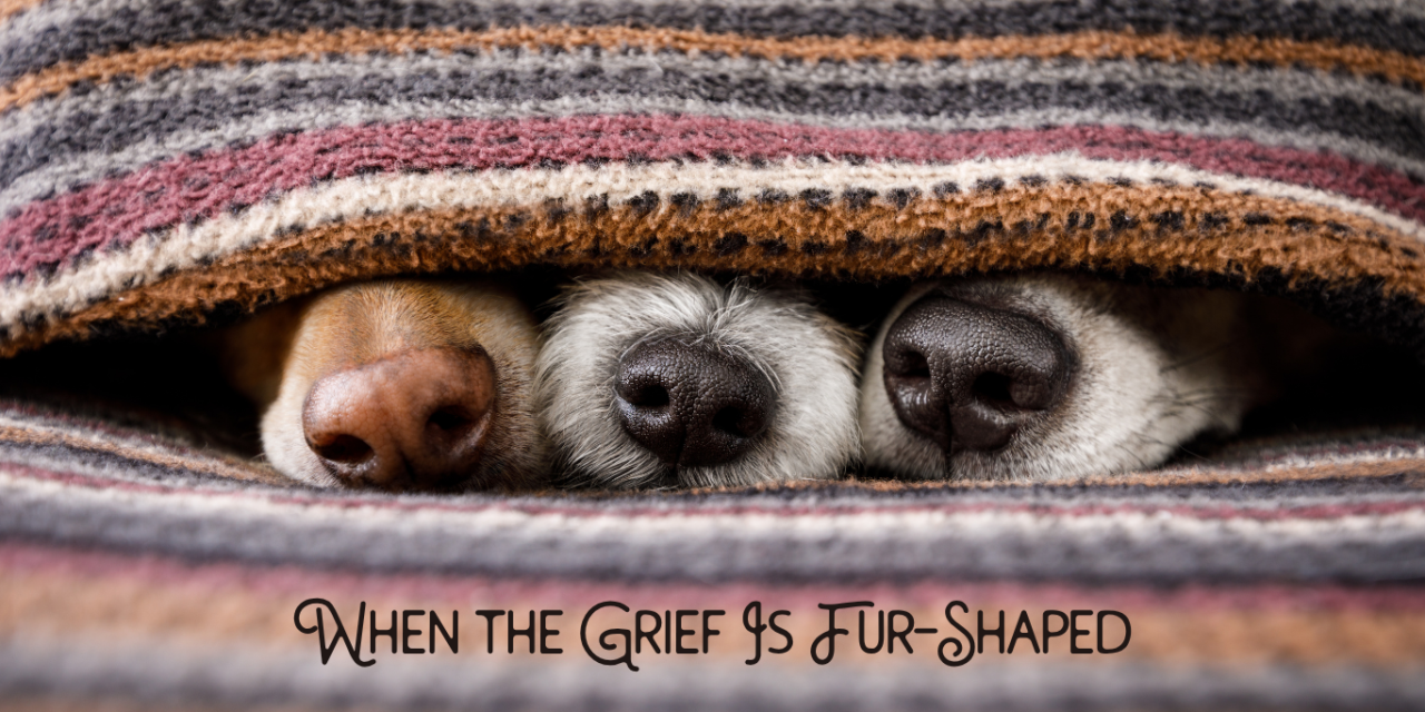 When the Grief Is Fur-Shaped: Why Losing a Pet Hurts So Much